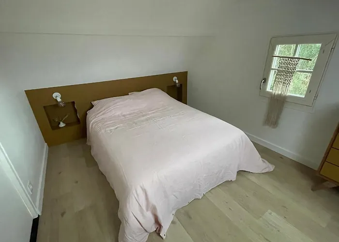 La Petite Bleue, 300 M De La *